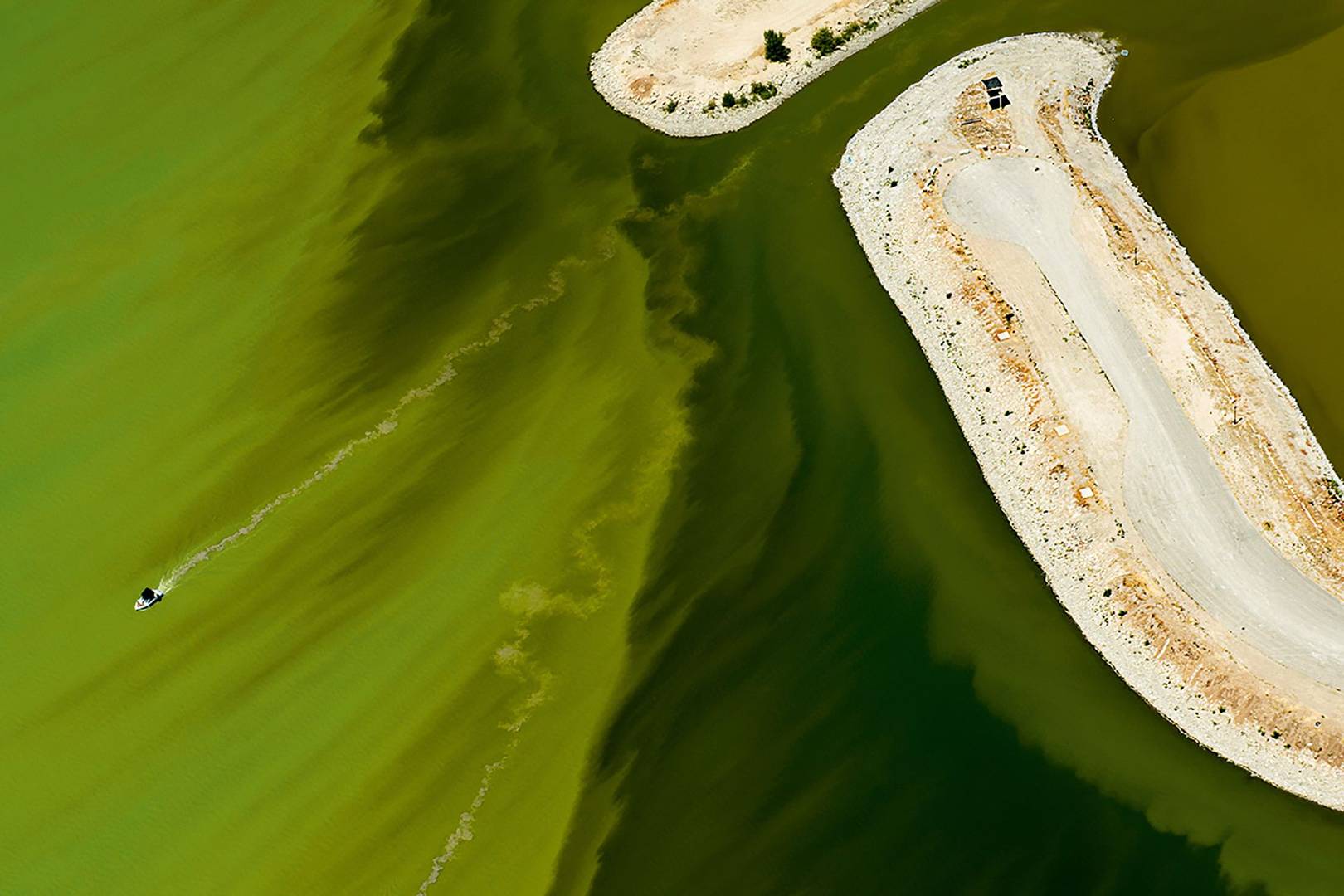 Utah Lake's algal bloom looks like a green slime attack WIRED UK