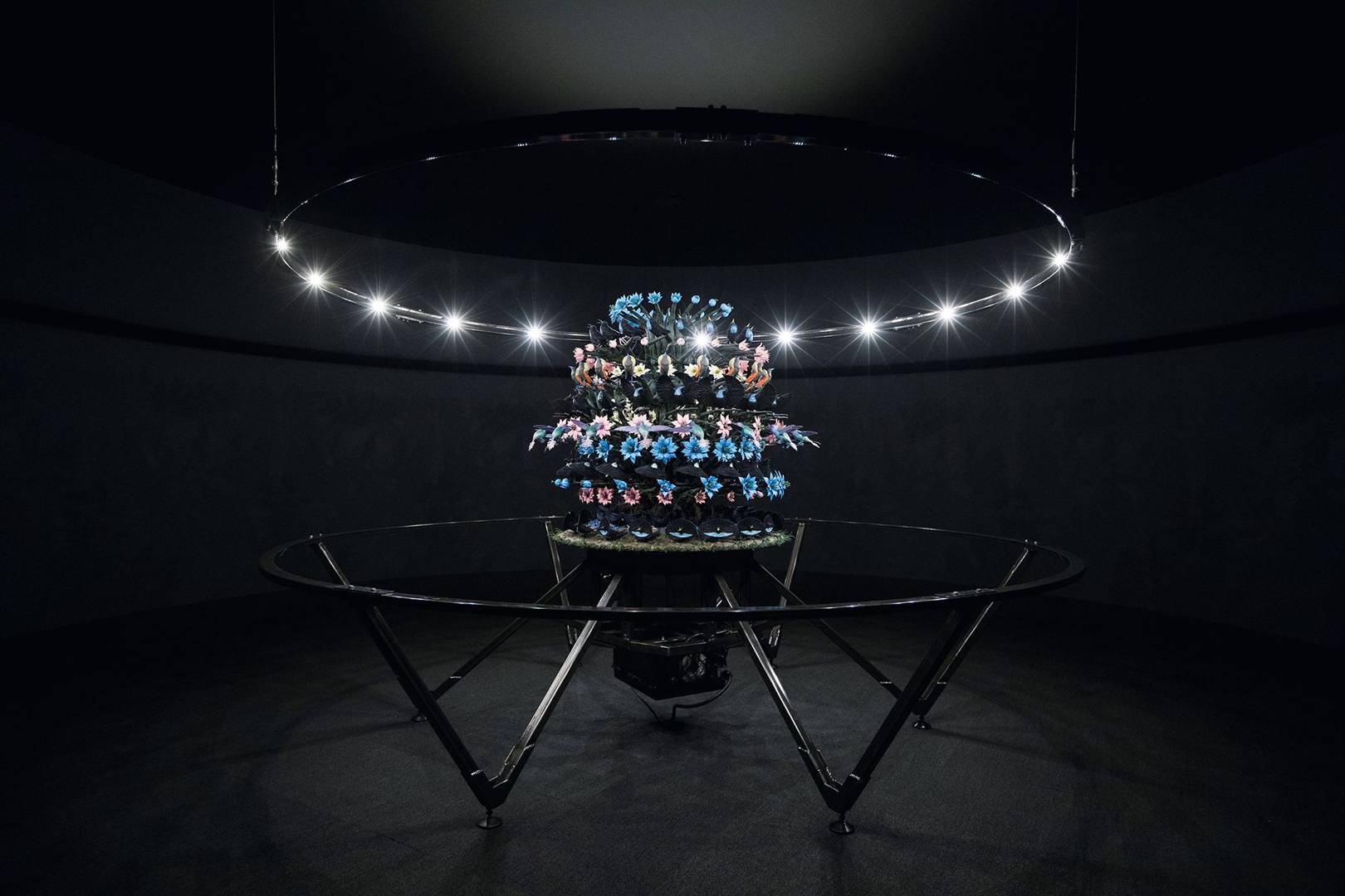 Mat Collishaw's room-sized zoetrope offers a dazzling new spin on art's history