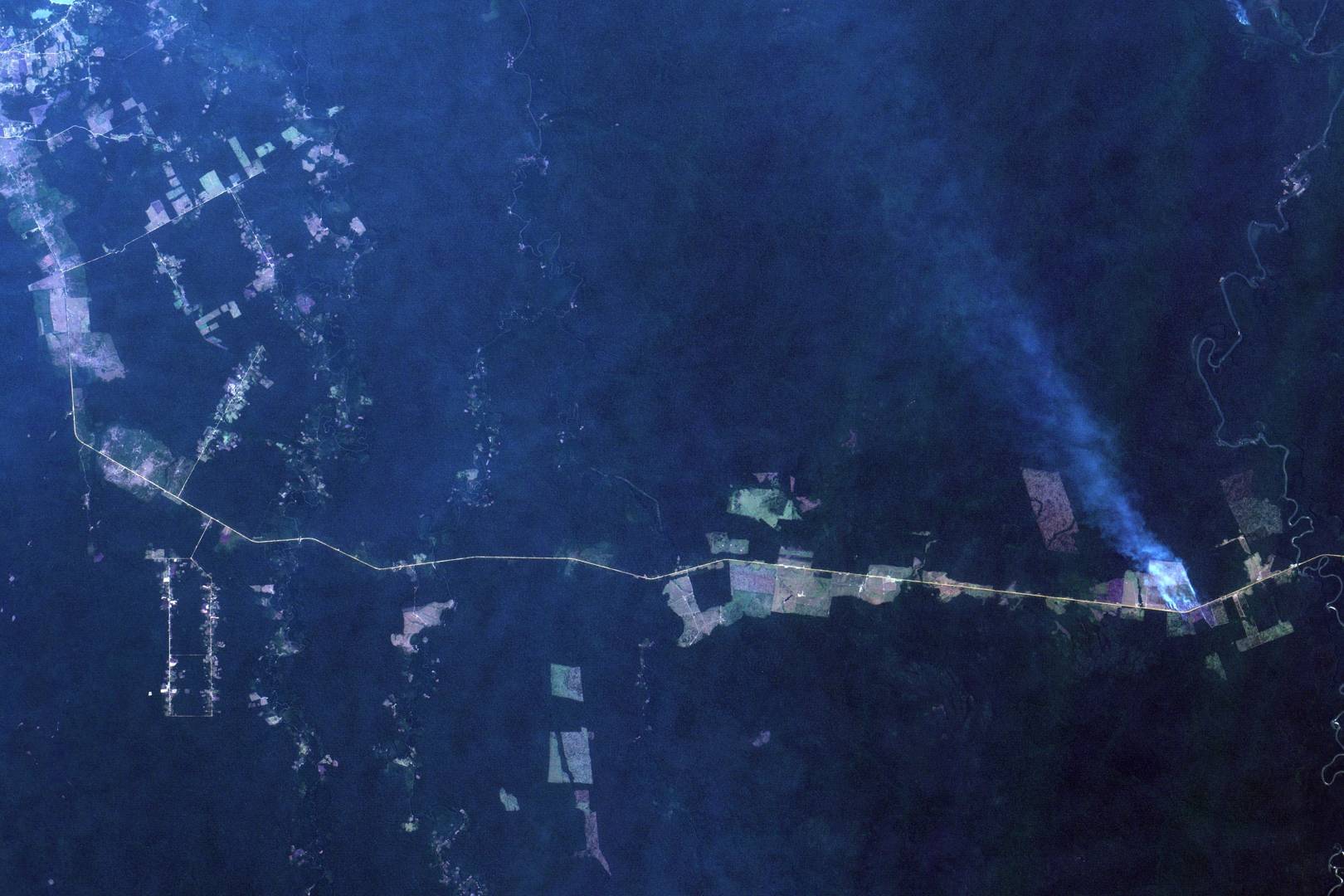 Wednesday briefing: Wildfires tear through the Brazilian Amazon