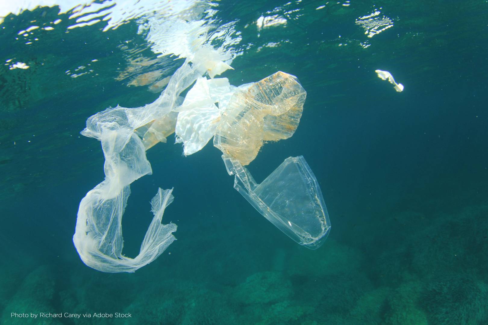 Ellen MacArthur launches $2 million prize to help solve plastic pollution