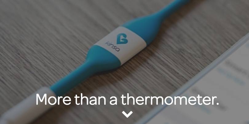 In the same way that 'mashed up chicken with arsenic in it' is also 'more than just chicken'