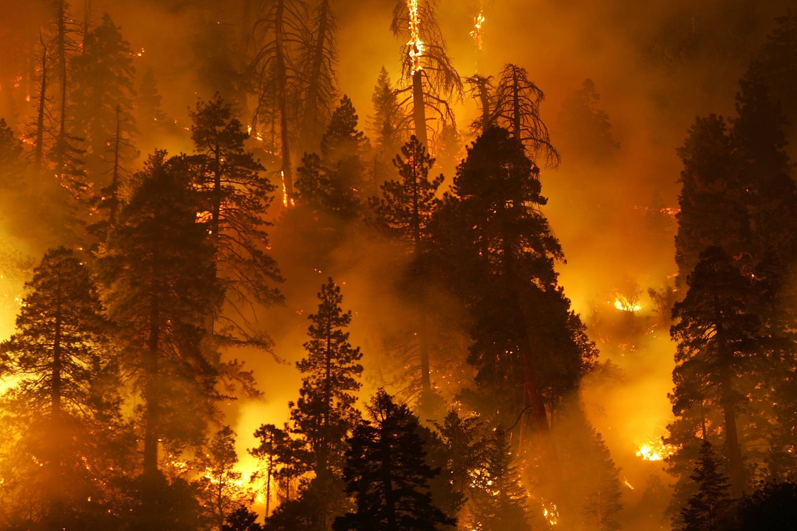 Nature documentaries need to get real about climate change