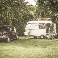 adidas giving away 6000 shoes