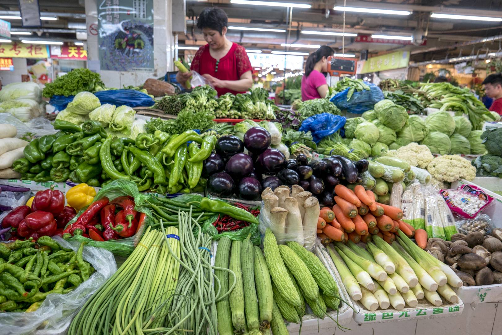 Waste-generated biogas is turning homes into power plants