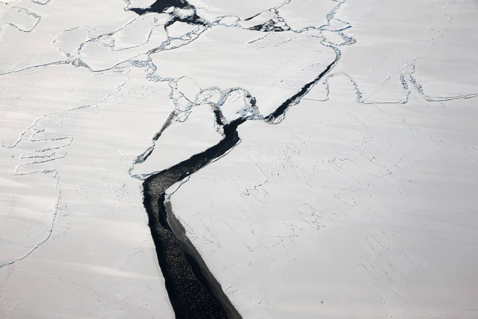 The Larsen C ice shelf has cracked, creating a trillion tonne iceberg