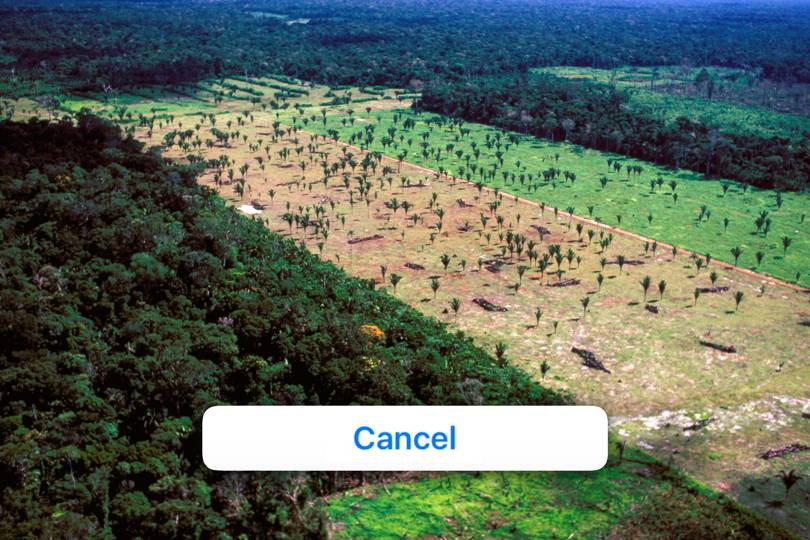 wired-deforestation.jpg