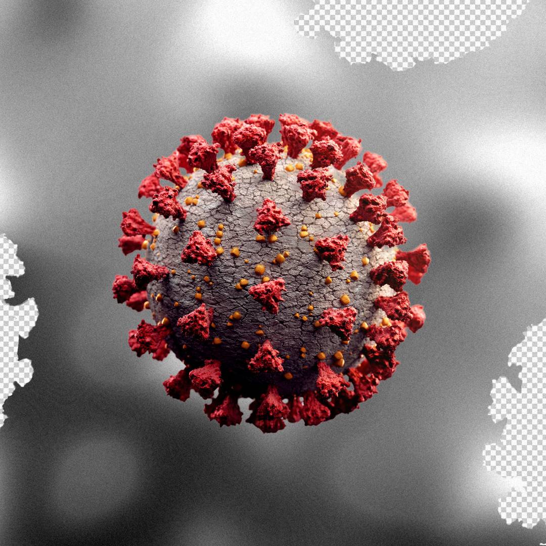 Image: Here's everything we know about coronavirus immunity so far