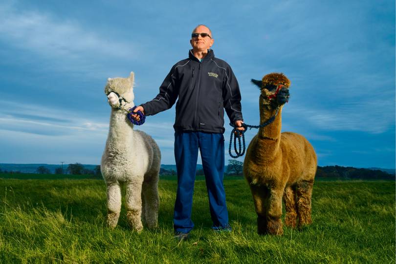 I quit Monzo to look after alpacas - Vimarsana News