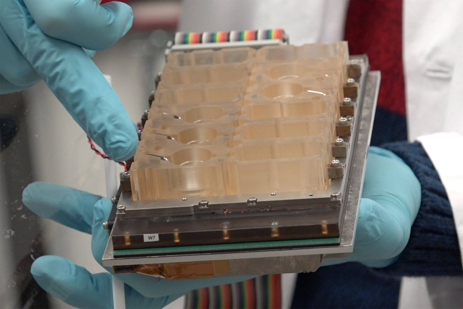 The female menstrual cycle has been replicated in an organ-on-a-chip