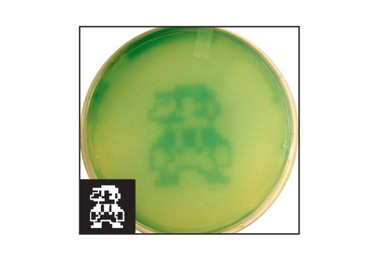 Scientists teach E.coli bacteria to 'draw'. Bacteria draws Mario