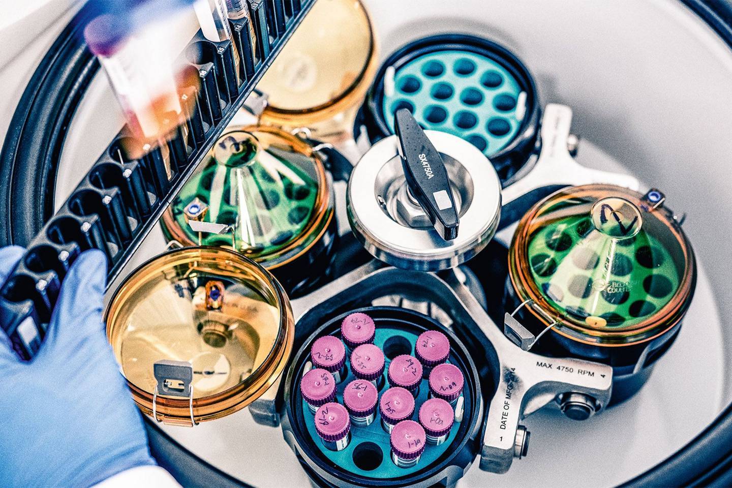 The cool science behind the Nobel prize-winning treatment for cancer