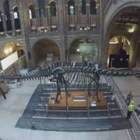 Mind the Gap: iconic London Underground voiceover artist dies | WIRED UK