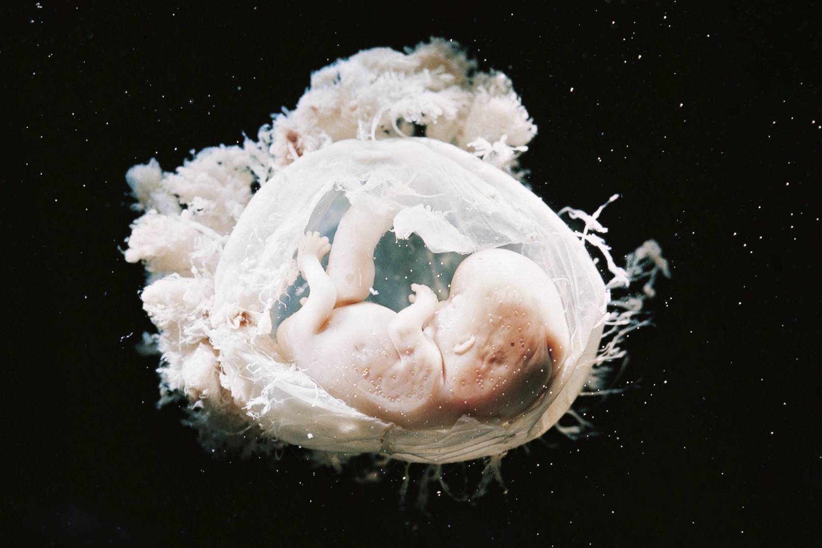 The CRISPR gene-edited baby scandal: Podcast 396