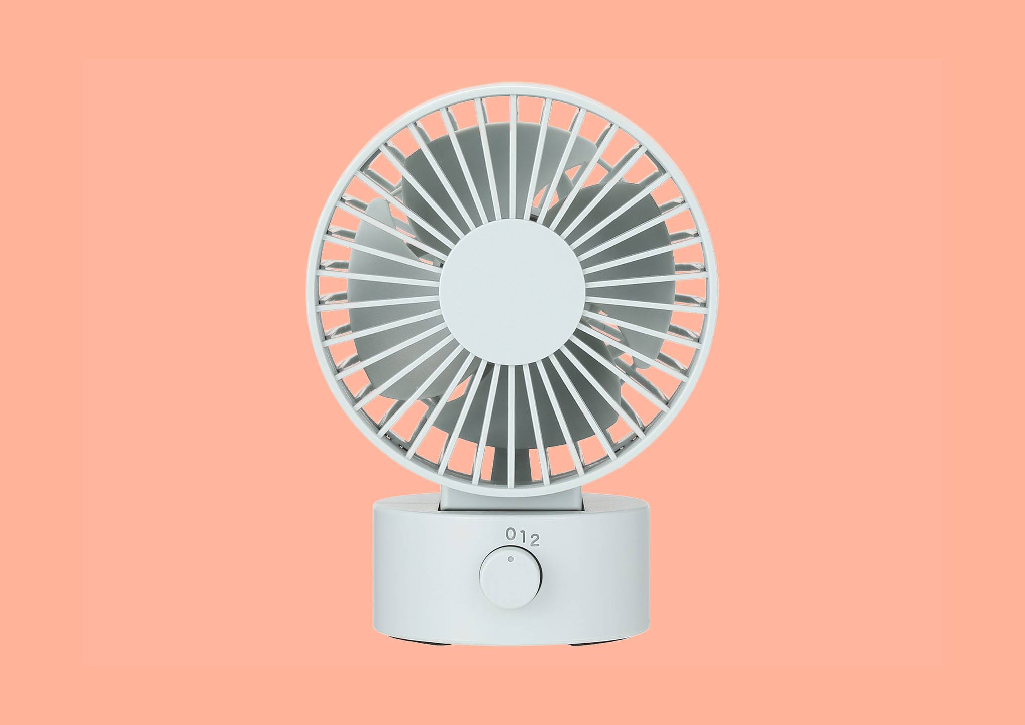 The Best Fans For Staying Cool In The Heatwave Desk Fans And