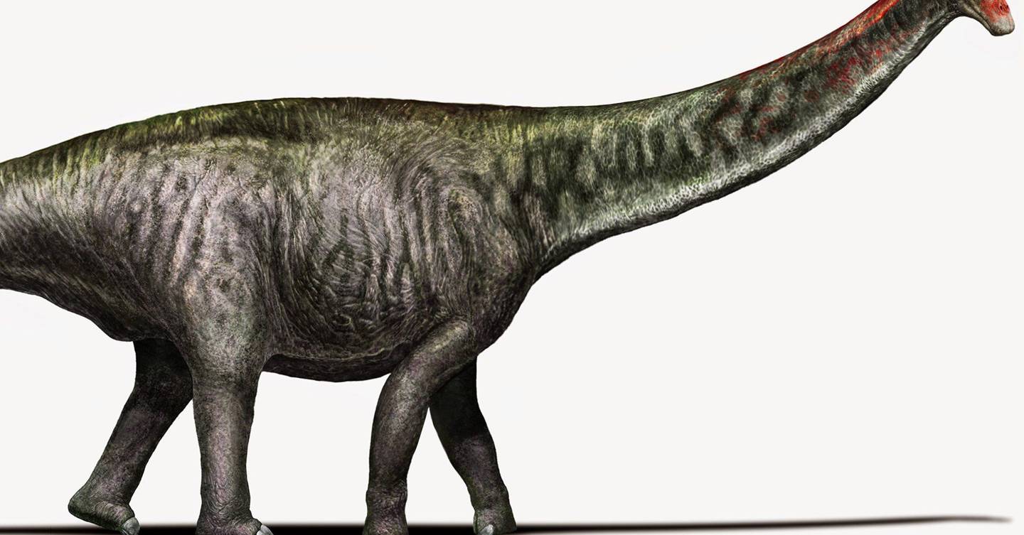 Brontosaurus is back! | WIRED UK